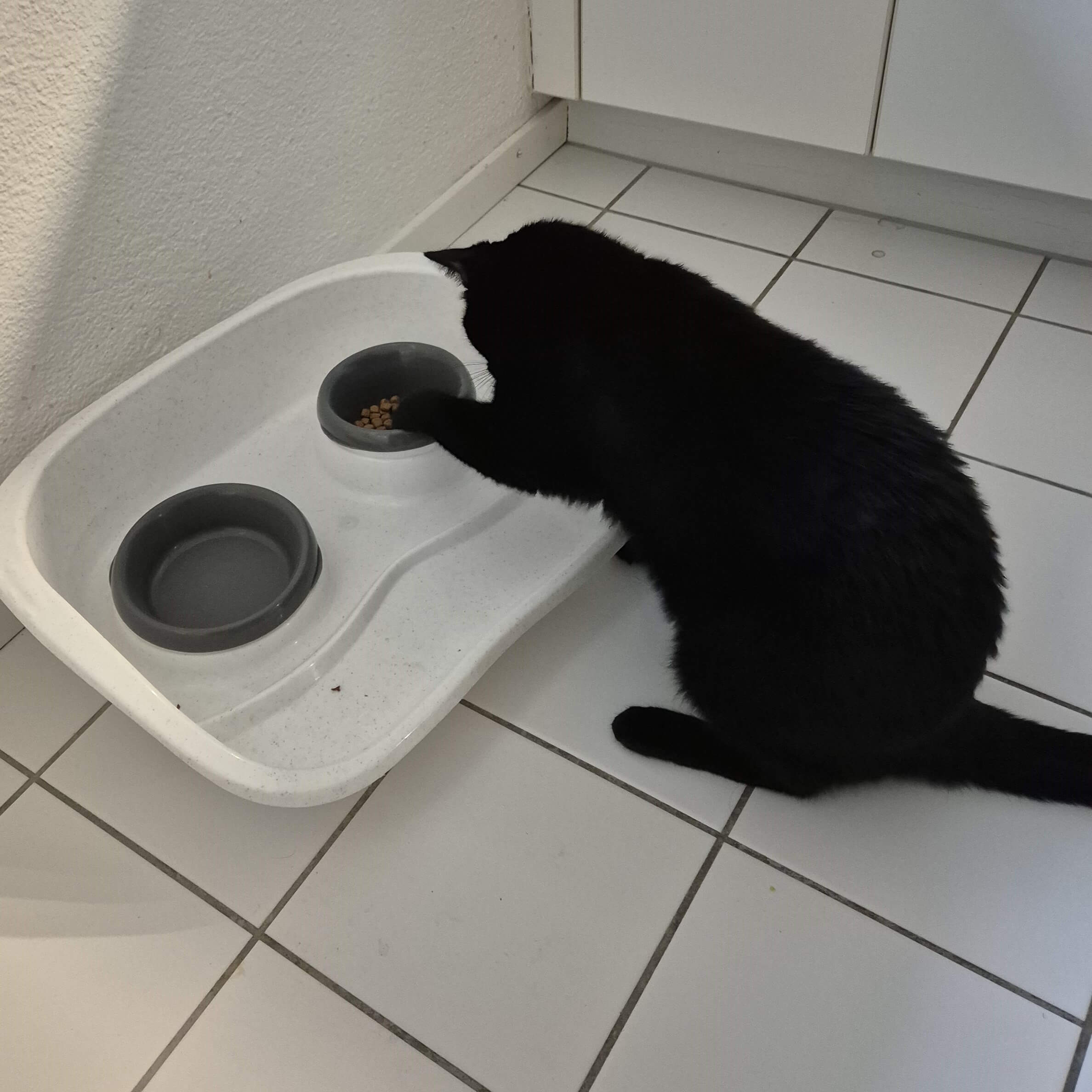–