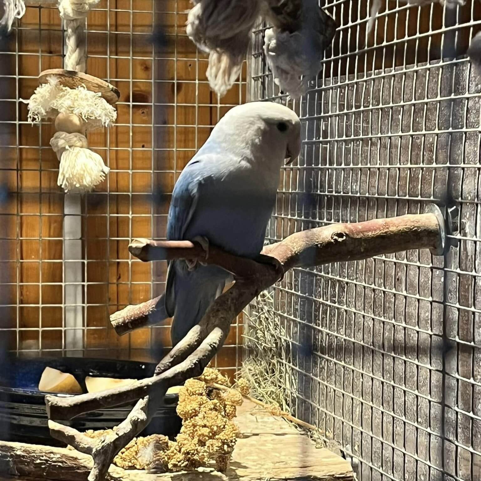 –
