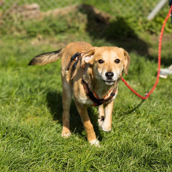 Drei_Musketiere_-_Timon_MichelleBruegger_002.jpg
