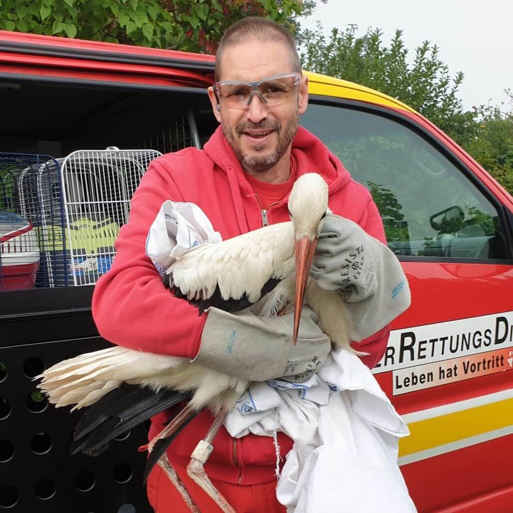 Storch_Kamin__2_.jpg