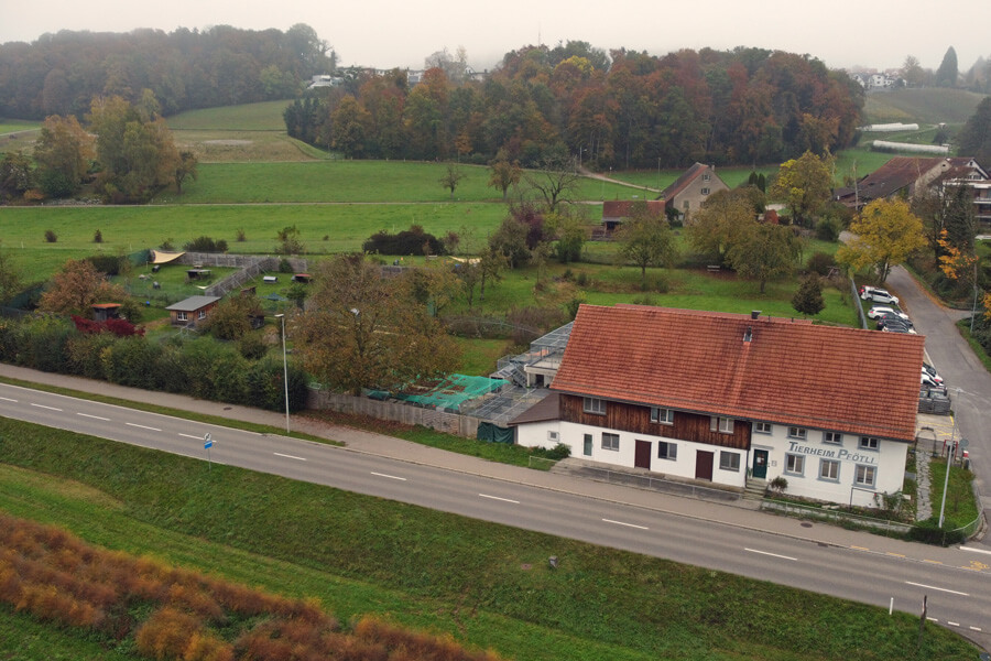 tierheim/Tierheim_Originalformat__7_