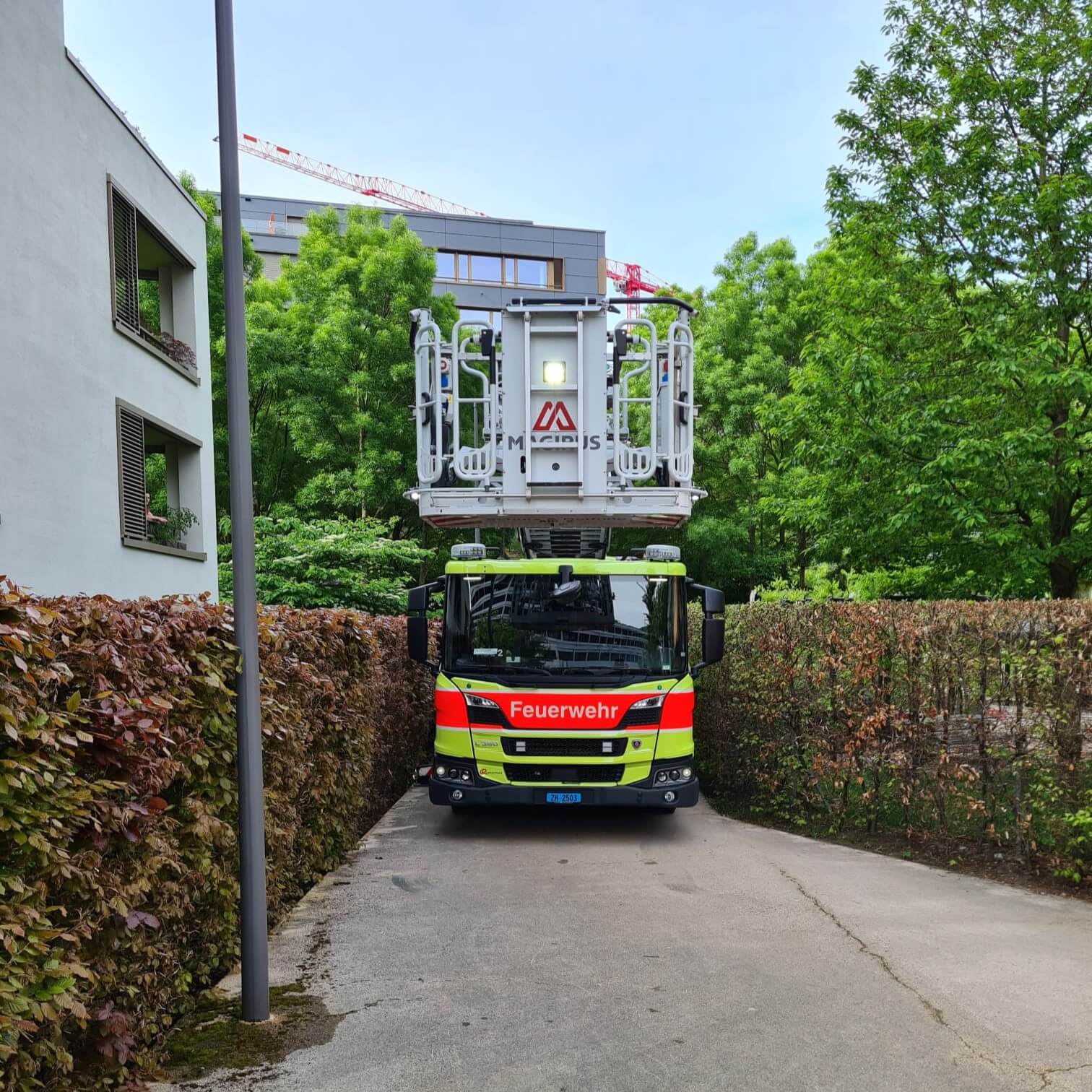 Entenfamilie_1.jpg