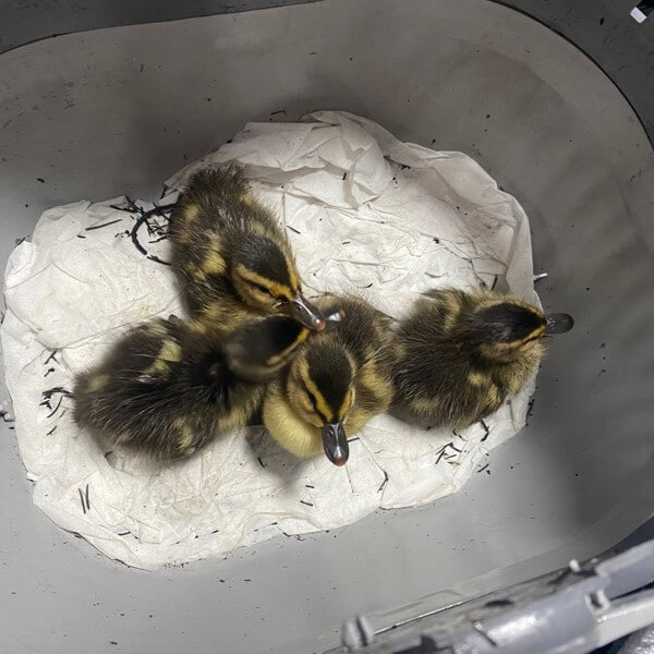 Rettungsdienst_quadratisch__13_.jpg