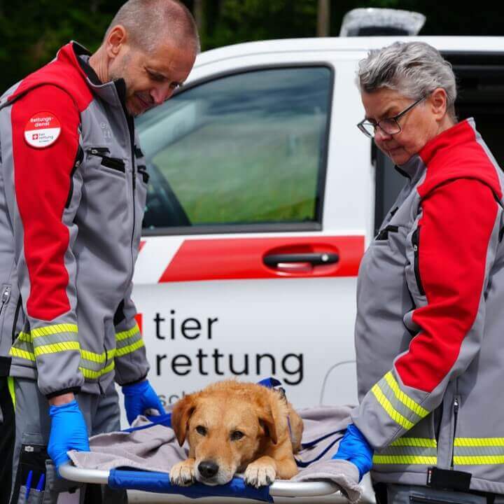 Tierrettung braucht Hilfe